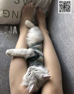 头文字d 动漫_剧情片免费电视剧