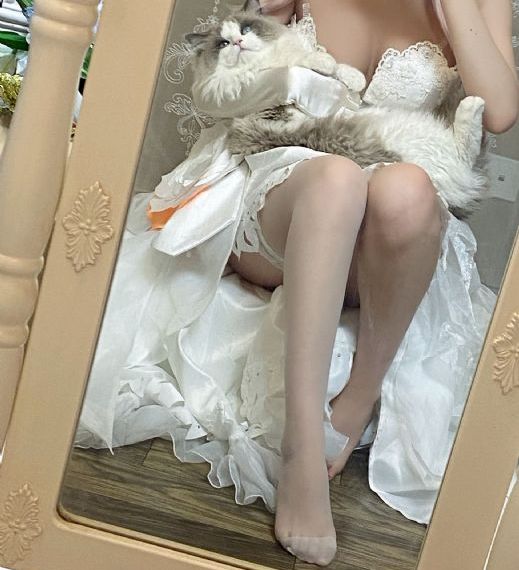 在线观看视频h_免费观看高清版
