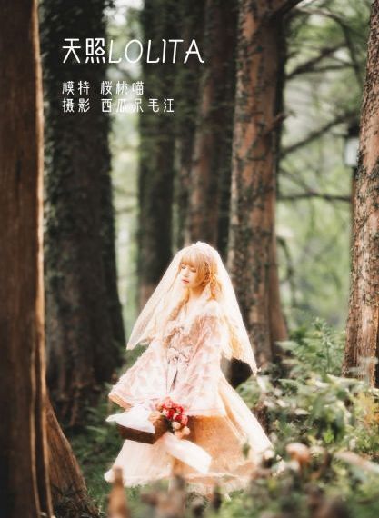 黑狐之风影全集免费_BD英语在线手机播放